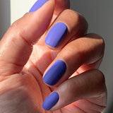 EVO Gel 082 Elegancia