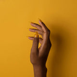 EVO Gel 160 Michelle H