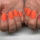 14ml GEMINI No 2002 Coral