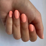 14ml GEMINI No 249 Coral Cluster