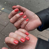 14ml GEMINI No 119 Sugar Sweet Pea